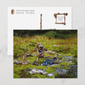 Eikel die bosbessen op het mos eet briefkaart (Voorkant / Achterkant)