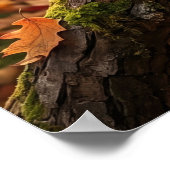 Eikel Eekhoorn Herfst Bosje Poster (Hoek)
