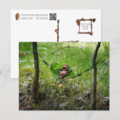 Eikel Elf Ontspant op Blad Hangmat Ansichtkaart Briefkaart (Voorkant / Achterkant)