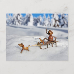 Eikel Elf sleeën met een hond Ansichtkaart Briefkaart