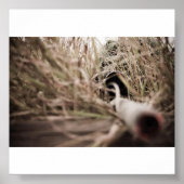 eikel poster (Voorkant)