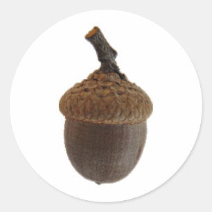 Eikelnoten Snack Voedsel Keuken Recepten Ronde Sticker