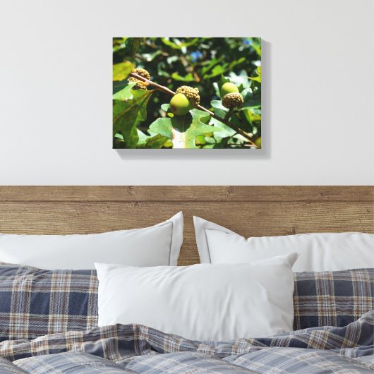 Eikels groeien op een eik canvas afdruk (Insitu (Slaapkamer))