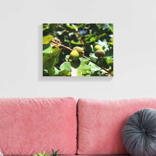Eikels groeien op een eik canvas afdruk (Insitu (Woonkamer))