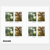 Eikels voor Oaks Sticker (Vel)