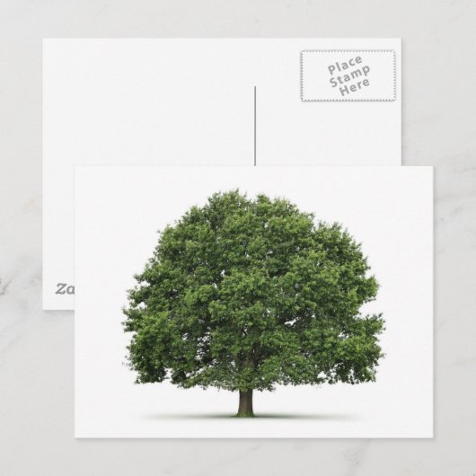 Eiken Boom Briefkaart (Voorkant / Achterkant)