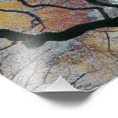 Eiken boom in vroege lente, gekleurde lucht bewerk foto afdruk (Hoek)