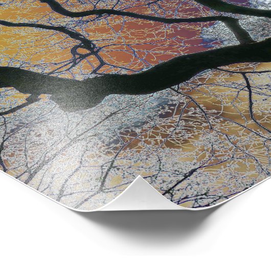 Eiken boom in vroege lente, gekleurde lucht bewerk foto afdruk (Hoek)