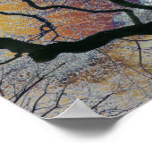 Eiken boom in vroege lente, gekleurde lucht bewerk poster (Hoek)