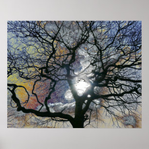 Eiken boom in vroege lente, gekleurde lucht bewerk poster