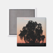 Eiken Boom Silhouet bij Nightfall Magnet (Voorkant / Achterkant)