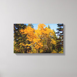 Eiken in de Herfst Canvas Afdruk