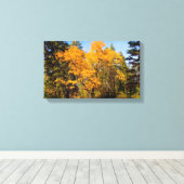 Eiken in de Herfst Canvas Afdruk (Insitu (Houten vloer))