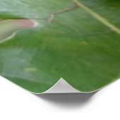 eiken poster (Hoek)