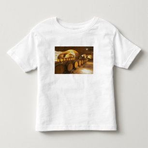 Eiken vaten in de kelder bij Domaine Comte Kinder Shirts