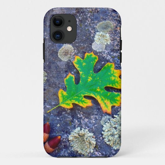 Eikenblad en eikels op een met korstmos bedekte ro Case-Mate iPhone case (Achterkant)