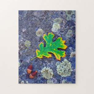 Eikenblad en eikels op een met korstmos bedekte ro legpuzzel