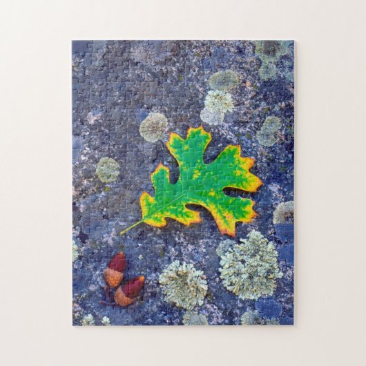 Eikenblad en eikels op een met korstmos bedekte ro legpuzzel (Verticaal)