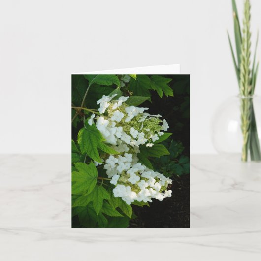 Eikenblad Hortensia Bedankkaart (Voorkant)