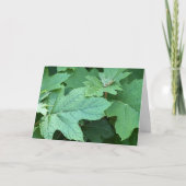 Eikenblad Hortensia lege kaart (Voorkant)