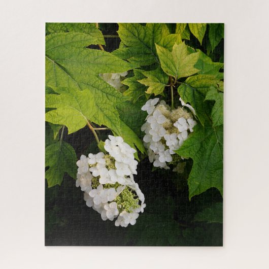 Eikenblad Hortensia Legpuzzel (Verticaal)
