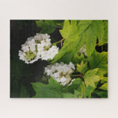 Eikenblad Hortensia Legpuzzel (Horizontaal)