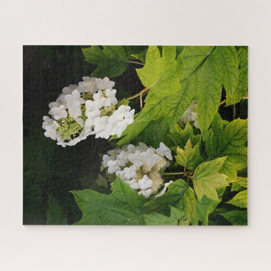 Eikenblad Hortensia Legpuzzel (Horizontaal)