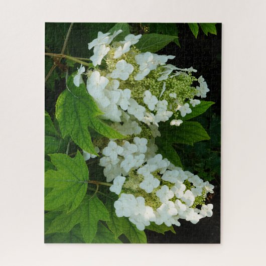 Eikenblad Hortensia Legpuzzel (Verticaal)