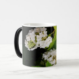 Eikenblad Hortensia Magische Mok