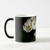 Eikenblad Hortensia Magische Mok (Links)