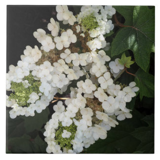 Eikenblad Hortensia Tegeltje