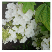Eikenblad Hortensia Tegeltje (Voorkant)