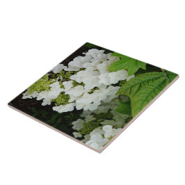 Eikenblad Hortensia Tegeltje