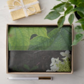 Eikenblad Hortensia Tissuepapier (Geschenk)