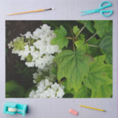 Eikenblad Hortensia Tissuepapier (Craft)