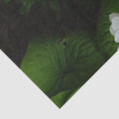 Eikenblad Hortensia Tissuepapier (Detail)