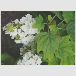 Eikenblad Hortensia Tissuepapier