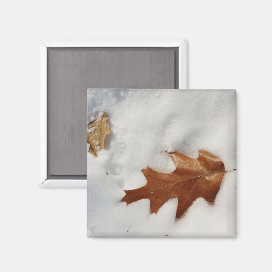 eikenblad op de sneeuw magneet (Voorkant / Achterkant)