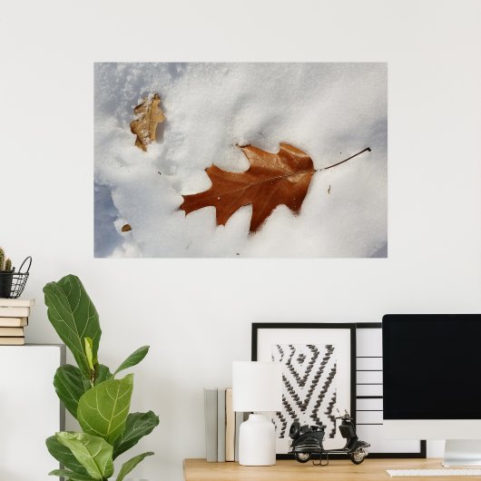 eikenblad op de sneeuw poster (Thuiskantoor)