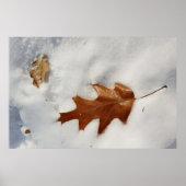 eikenblad op de sneeuw poster (Voorkant)