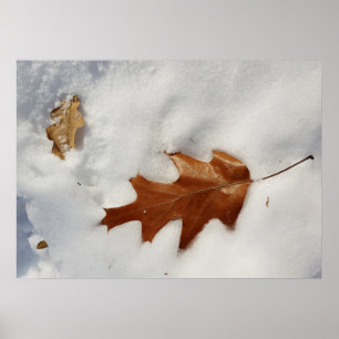 eikenblad op de sneeuw poster
