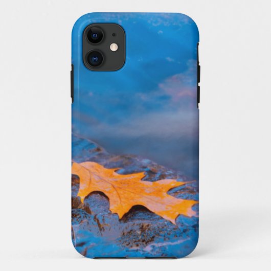 Eikenblad op steen in de Rosseau rivier Case-Mate iPhone Case (Achterkant)