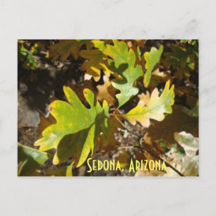 eikenblad, Sedona, Arizona Briefkaart