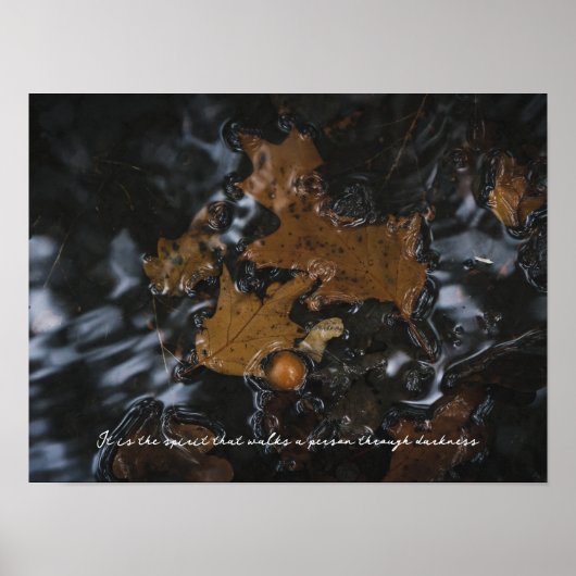 Eikenbladeren en eikels in donker water poster (Voorkant)
