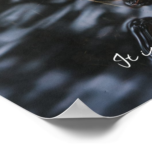 Eikenbladeren en eikels in donkere wateren poster (Hoek)