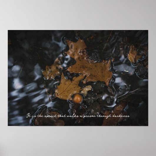 Eikenbladeren en eikels in donkere wateren poster (Voorkant)