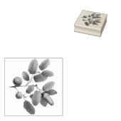 eikenbladeren rubberstempel (Gestempeld)