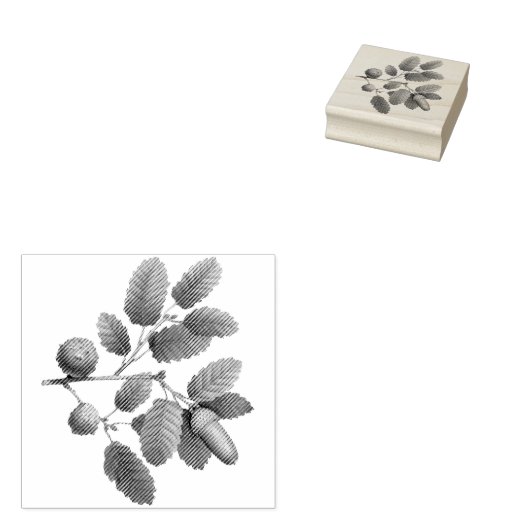 eikenbladeren rubberstempel (Gestempeld)