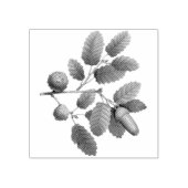 eikenbladeren rubberstempel (Afrduk)