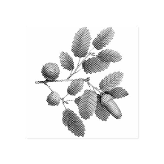 eikenbladeren rubberstempel (Afrduk)